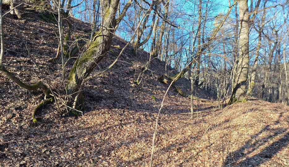 Zagyvafő Vár Romjai, Hungary